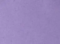 С-019 фетр, 100%% поліестер, 3мм, 20*30см