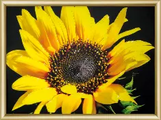Rhinestone decoration kit KC-161 "Sunny flower"