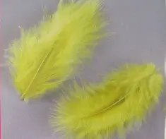 1004307 Пір'я марабу