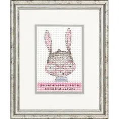 70-65183 Counted cross stitch kit DIMENSIONS "Rose colored glasses"