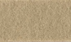 77 Фетр, Richard Wernekinck, 100%% вовна, 1мм, 20*30см