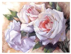 35247 Набір для вишивання DIMENSIONS «White Roses • Білі Троянди»