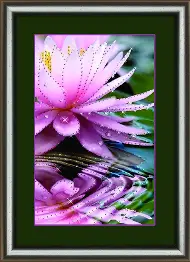 Rhinestone decoration kit KC-1020 "Morning lotus"