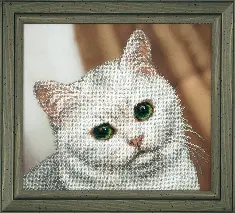Beadwork kit B-737 "White cat"