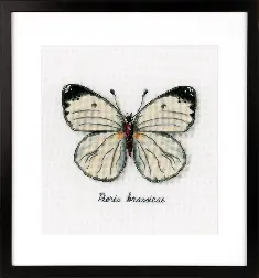 PN-0165233 Counted cross stitch kit Vervaco "White Butterfly"