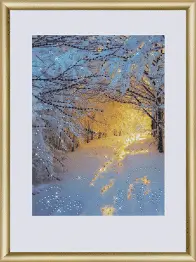 Rhinestone decoration kit KC-176 "Winter forest"
