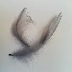 1004286 Пір'я декоративне