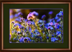 Набір картина стразами Crystal Art КС-1021 "Незабудки"