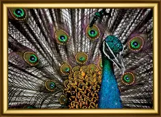 Rhinestone decoration kit KC-1033 "Peacock"