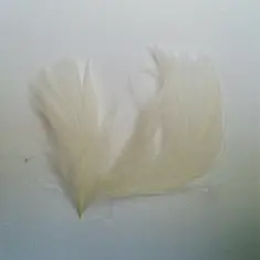 1004204 Пір'я декоративне