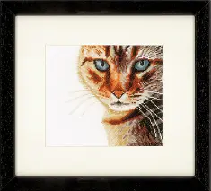PN-0021220 Counted cross stitch kit LanArte "Cat Close-up"