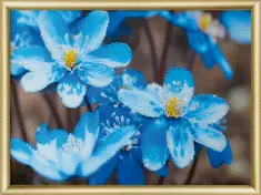 Rhinestone decoration kit KC-179 "Primroses"