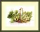 BT-170 Counted cross stitch kit Crystal Art "Amber grapes"