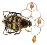 BP-235 Beadwork kit for creating broоch Crystal Art 