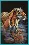 35222 Counted cross stitch kit DIMENSIONS "Tiger Chilling Out"