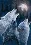 35203 Counted cross stitch kit DIMENSIONS "In Harmony Wolves"
