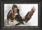 Cross-stitch kit А-197 "High flight" 