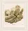PN-0153837 Vervaco "Baby feet"