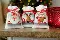 PN-0149462 Vervaco Bags "Friends Christmas II"