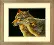 70-35283 Counted cross stitch kit DIMENSIONS "Wolf Kiss"