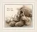 PN-0163748 Vervaco "Teddy bear"