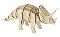 F-157 Designer kit Organizer "Triceratops"