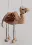 Felting kit V-134 "Camil"