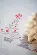 PN-0166603 Набор для вышивания крестом (скатерть) Vervaco Christmas trees "Новогодние елки". Catalog. Kits