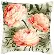 PN-0144838 Набор для вышивания крестом (подушка) Vervaco Peonies "Пионы". Каталог товарів. Набори
