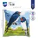 PN-0149951 Набір для вишивання хрестом (подушка) 40 х 40смVervaco Ластівки. Catalog. Kits
