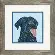 70-65229 Набір для вишивання хрестиком «Snow Dog//Сніжний пес» DIMENSIONS. Catalog. Kits