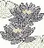 XBW3 Набор для вышивания крестом Blackwork Water Lily "Водяная лилия" Bothy Threads. Каталог товарів. Набори