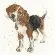 XHD12 Набор для вышивания крестом Beagle "Бигль" Bothy Threads. Каталог товарів. Набори