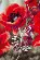 PN-0184269 Набор для вышивки крестом Vervaco Girl in a poppy field "Девушка в маковом . Catalog. Kits
