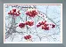 ВТ-505 Набор для частичной вышивки крестиком Crystal Art "Зимний набросок". Catalog. Kits