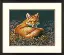 70-35318 Набор для вышивания крестом DIMENSIONS Sunlit fox "Лиса, освещенная солнцем". Каталог товарів. Набори