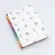 55506 Подарунковий набір знімних дерев'яних спиць Symfonie2 Deluxe довжиною 13 см KnitPro. Catalog. Knitting. Needle and crotchet kits