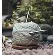 36299 Знімні ультракороткі спиці Mindful KnitPro, 5 см , 6,00 мм. Catalog. Knitting. Needles