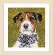 PN-0167505 Набор для вышивки крестом LanArte Dog "Собака". Catalog. Kits