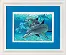 06944 Набор для вышивания крестом DIMENSIONS Deep Sea Dolphins "Глубоководные делифины". Catalog. Kits