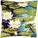 PN-0148217 Набор для вышивания крестом (подушка) Vervaco Water lilies "Водяные кувшинки". Catalog. Kits