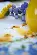 PN-0161766 Little ducks, 32х84, аида 11, счетный крест Маленькие утки Vervaco. Catalog. Kits
