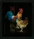 PN-0162577 Набор для вышивки крестом Vervaco Chicken & Rooster "Курица и петух". Catalog. Kits
