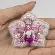 БП-301 Набор для изготовления броши Crystal Art "Орхидея". Catalog. Kits