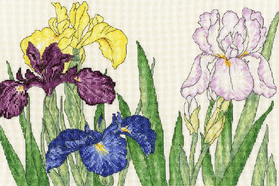 XBD14 Набор для вышивания крестом Iris Blooms "Ирис цветёт" Bothy Threads. Каталог товарів. Набори